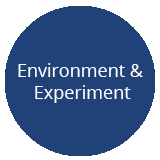 Environment & Experiment